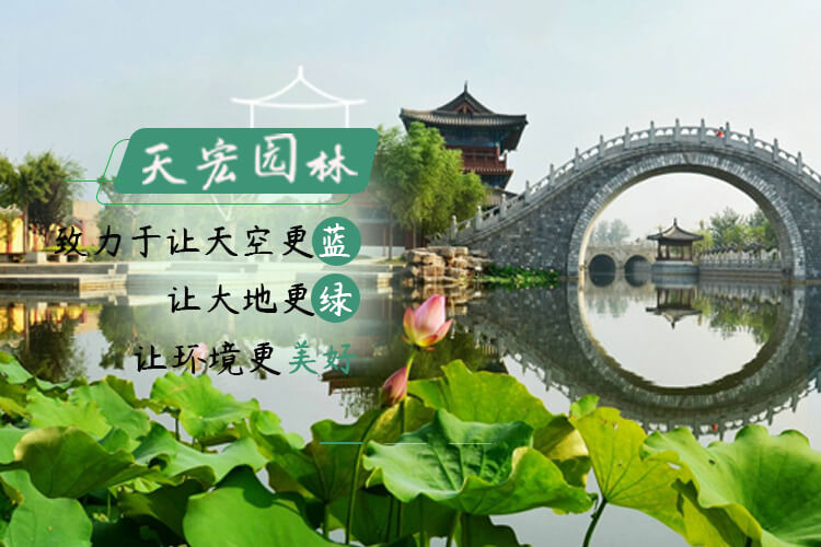 北京天宏園林綠化養護草莓视频黄色下载-草莓视频黄版在线观看-草莓视频污版下载-草莓视频app黄下载
